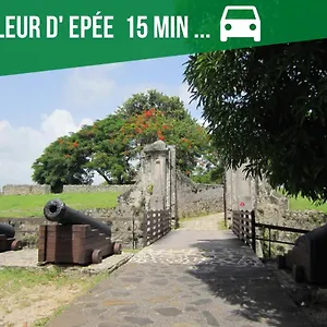 Le Nid Dor - De Standing Appartement